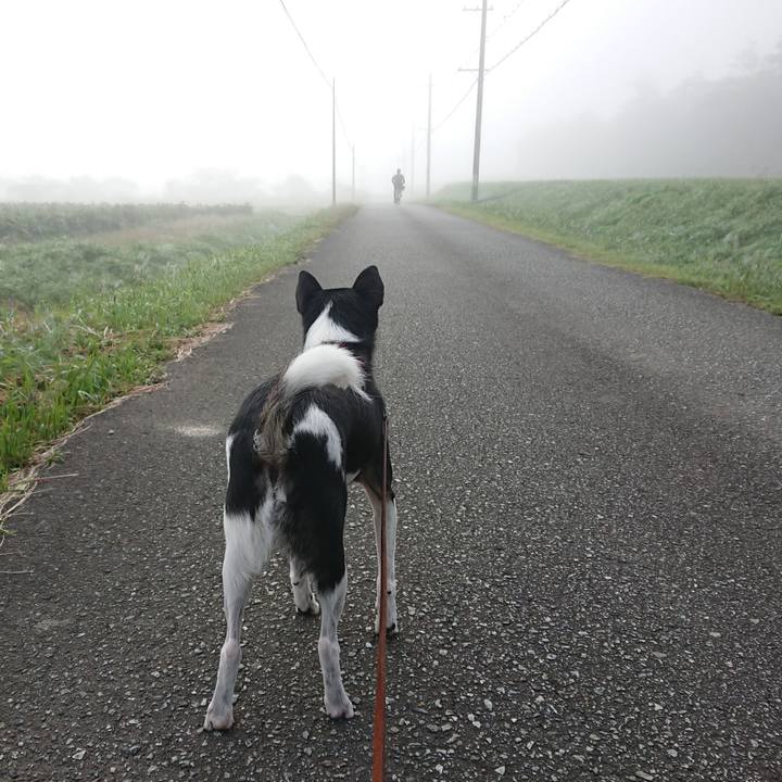 F1e764a8 3152 4005 89a6 95991f4b5ad4 1602939950664