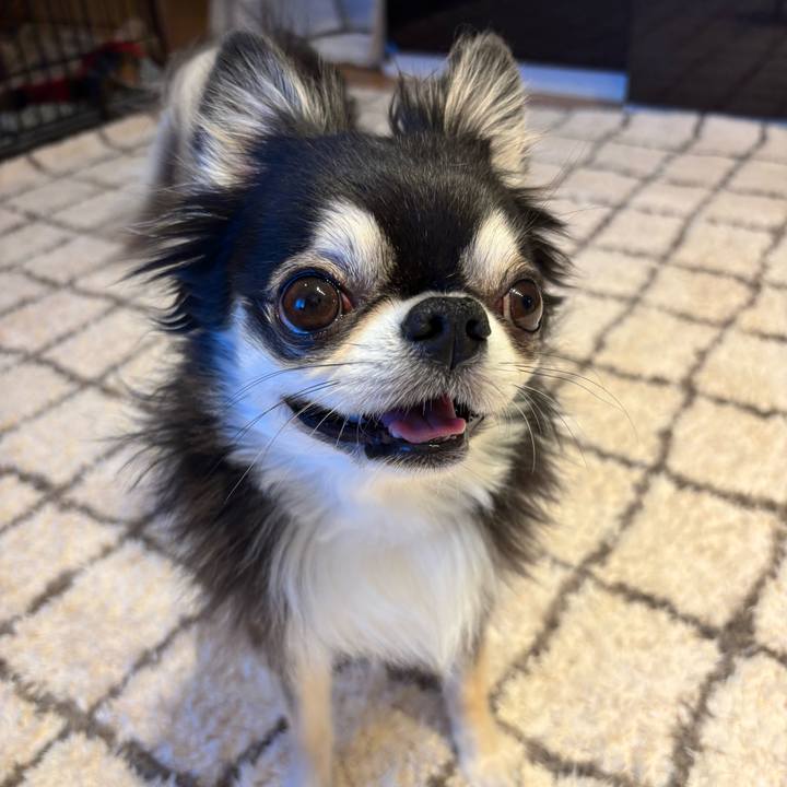 F1e76fcf b0a1 41ba 8d6c 917c96f5c799 1738427454915