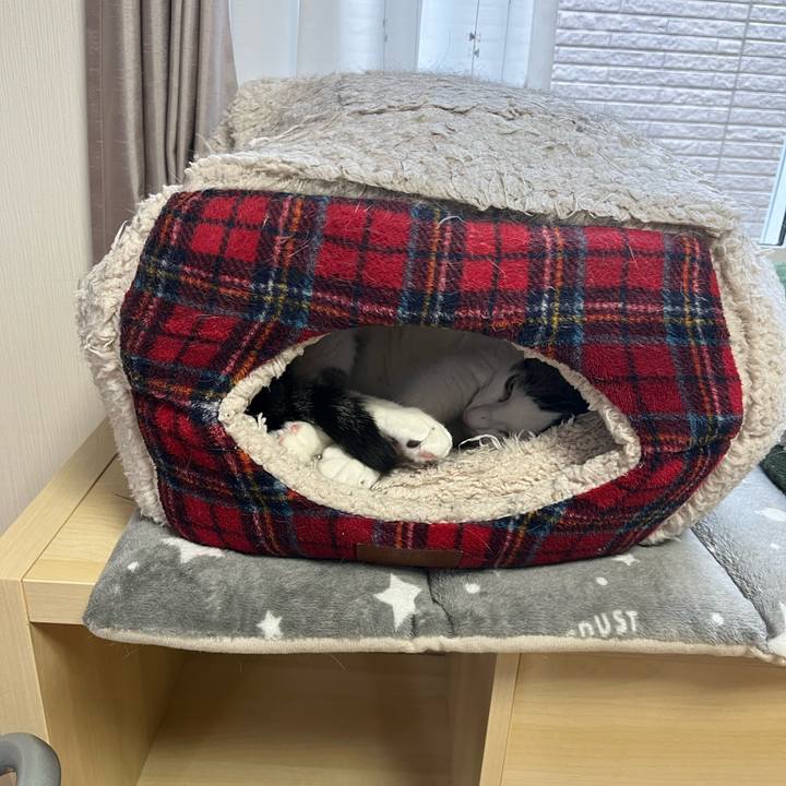 F1e7a71c 7f71 4981 86a7 cbb3ee445910 1708310589777