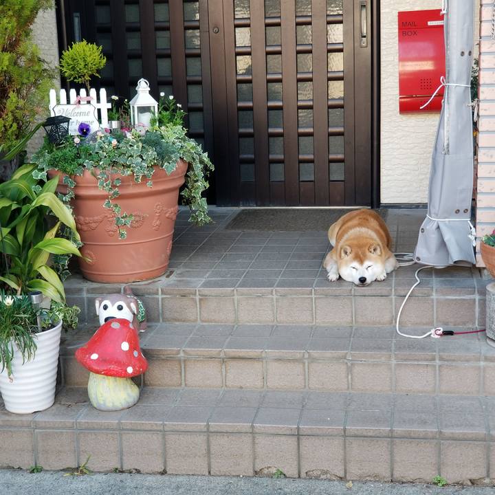 F1e7cbb7 82d2 4a71 896c 79757058e0b5 1636332836966