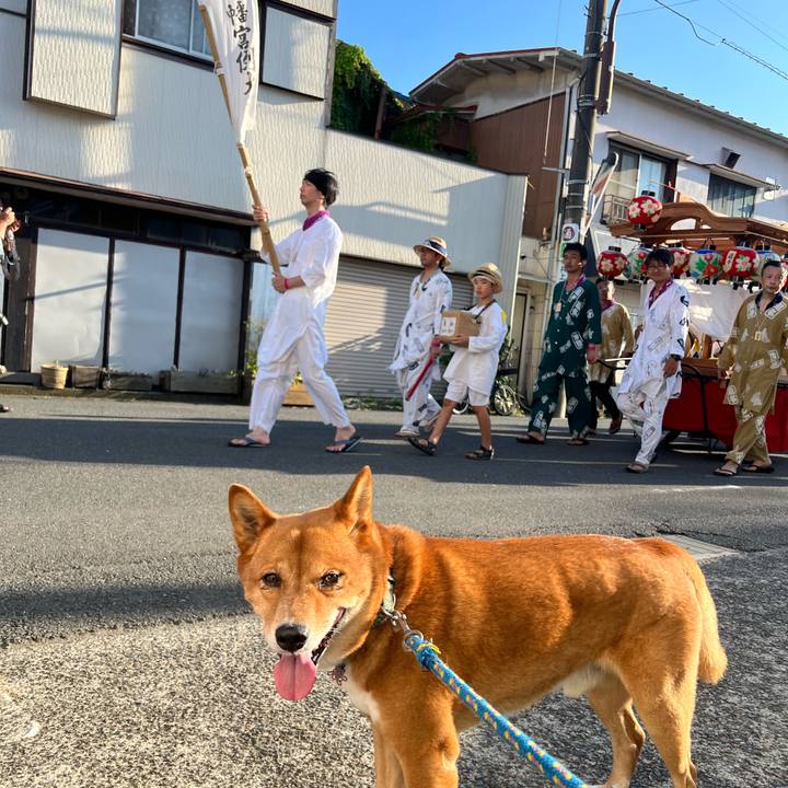 F1e7ff58 b3fb 4b4a a525 7c79f86789e7 1689506648852