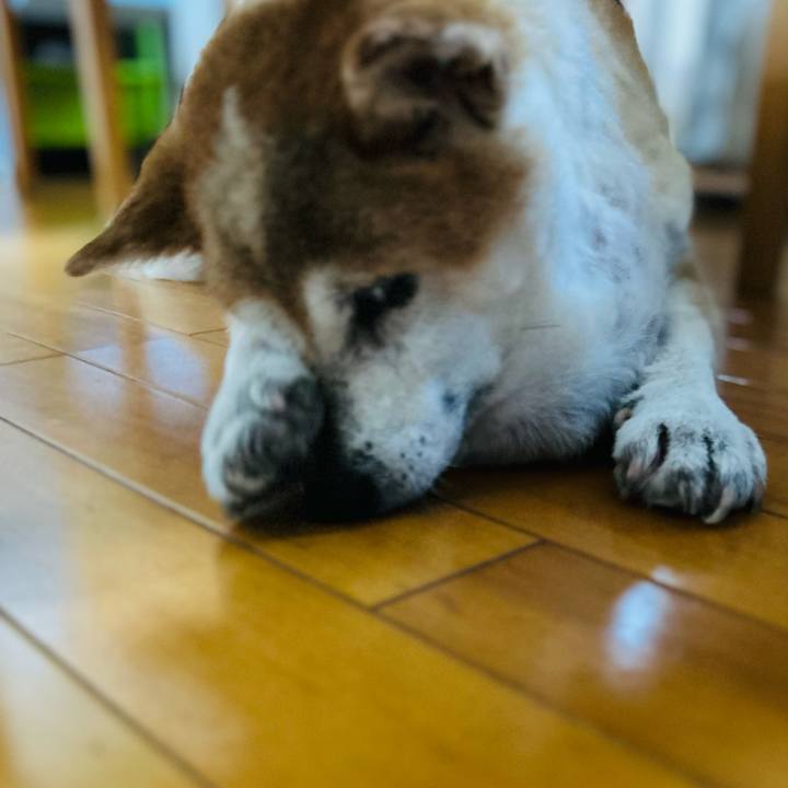 F1e80d12 62f9 4052 8ac5 f315c147bcea 1756861348812