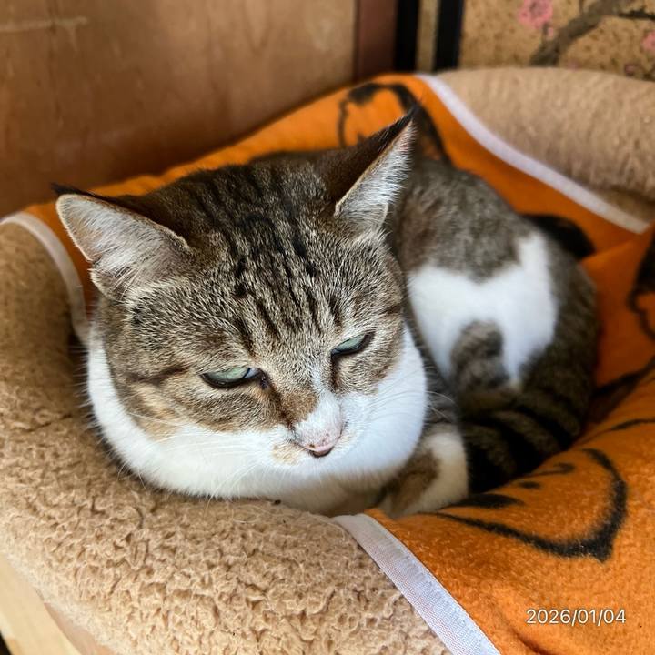 F1e80e70 9484 4b7c 8f06 2157d79e13e0 1767495523347