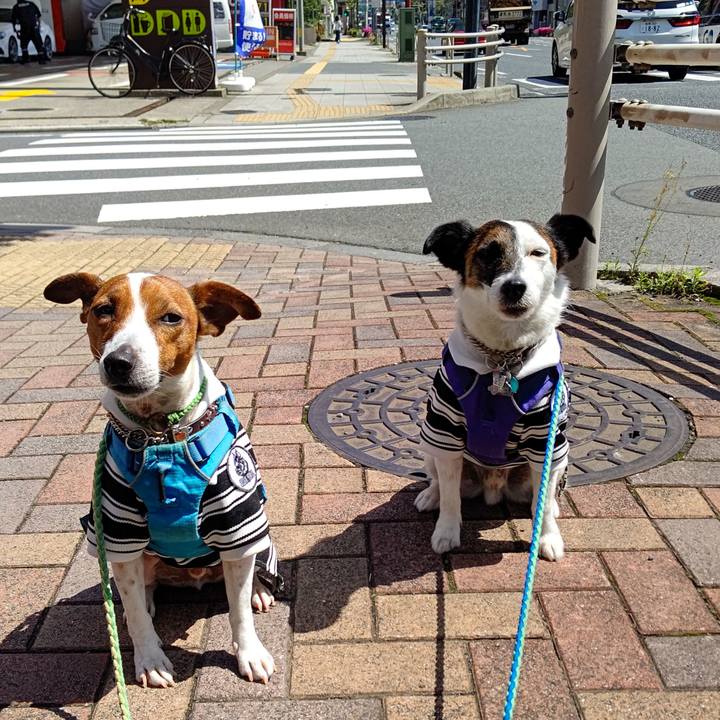 F1e827fe 2501 4f58 857d 60c1df3d1c94 1651293737432