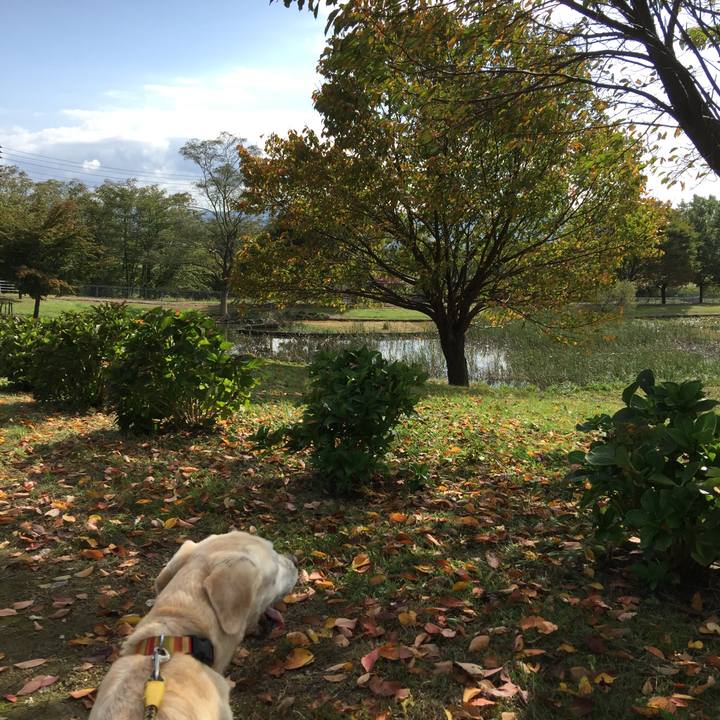 F1e82979 75e7 4cbb 8eef 20f18d4c36da 1569288063188