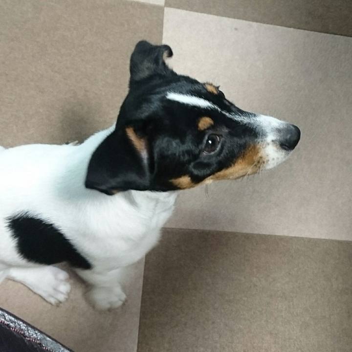 F1e82ca0 df8c 42d5 b7b3 90a23d1d716a 1512118188900