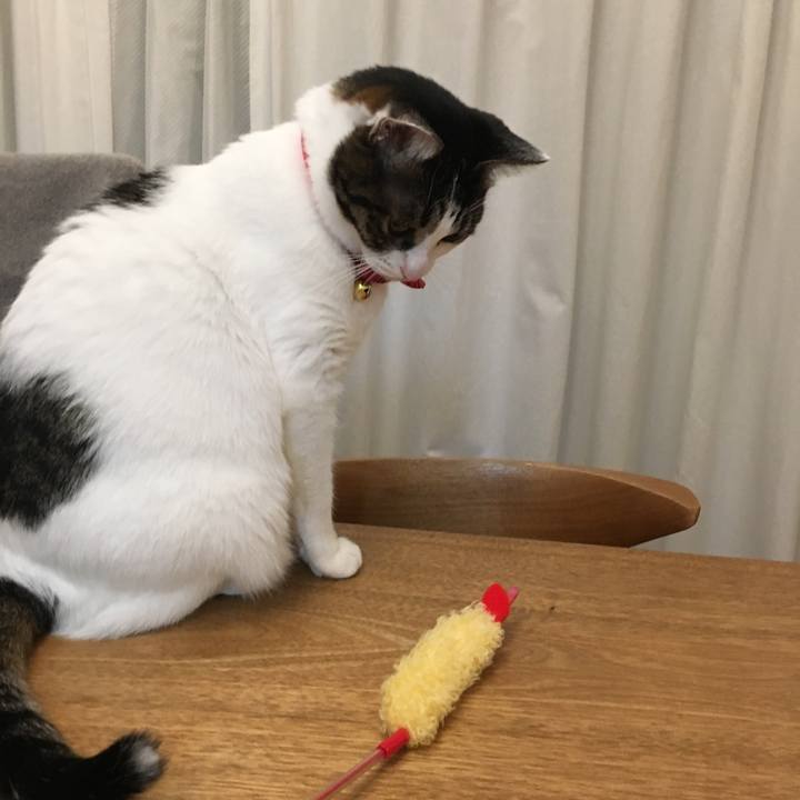 F1e888cc 97a7 40aa b511 fa15ea05a905 1538566186895