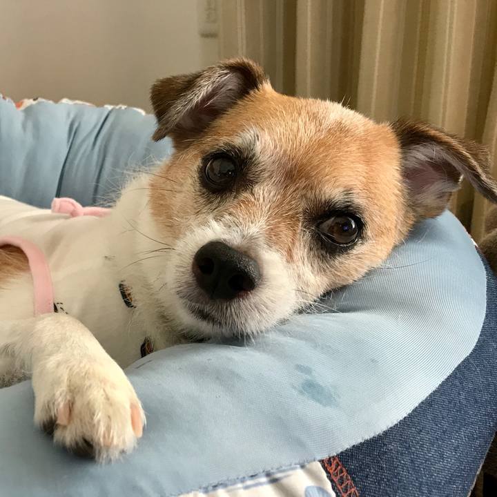 F1e8b2f8 bae8 4729 a7d7 96c5a13fbca6 1597987811616