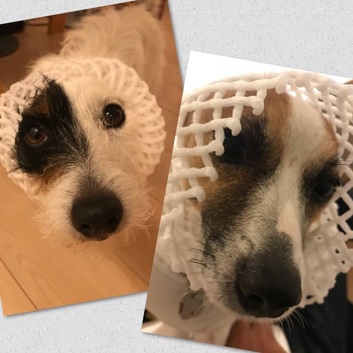 F1e8e303 753a 49a8 9f9b 05328f03b524 1527163263750