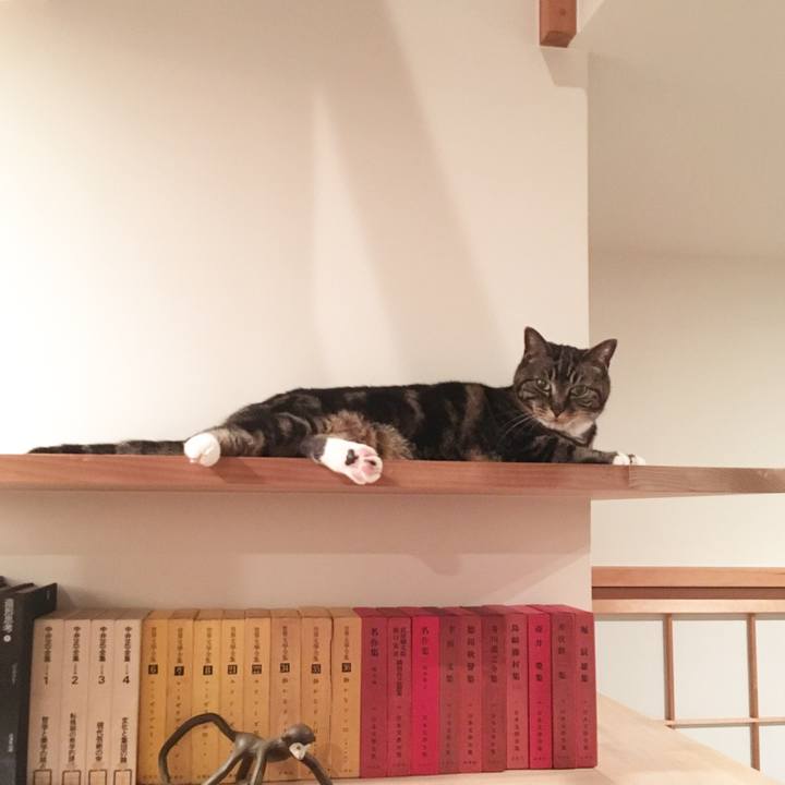 F1e9535d 8a0e 42f3 8961 8fd6316b5839 1560338377186