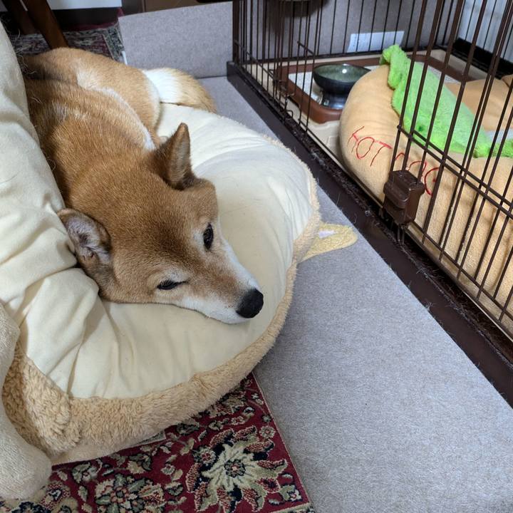 F1e9685c e192 4bd2 9313 ad0c426600a9 1721143319070