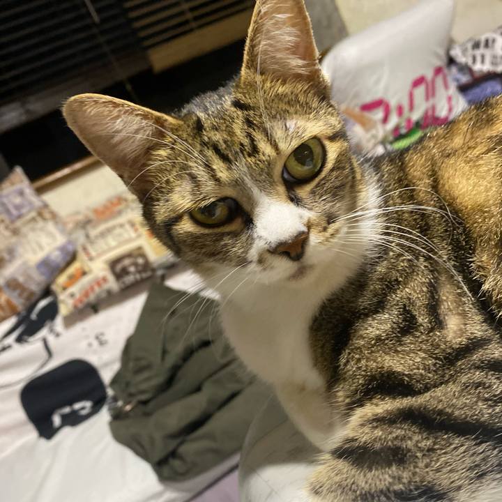 F1e9b6be e00d 4319 86fe b2084fbaa65f 1627069200584