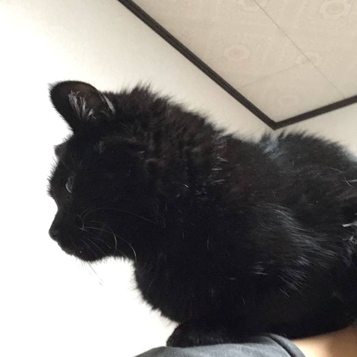 F1e9cebb 365c 4234 b483 a3bcd8d6e11b 1609573805520