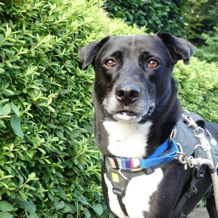 F1e9e743 91d7 45a6 ac4a 7d68e7afe009 1659226767758