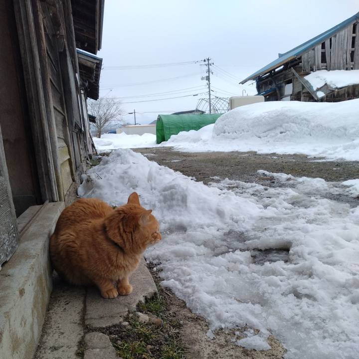 F1e9e836 37cc 4868 a6bb 350956e87e2c 1675996190759