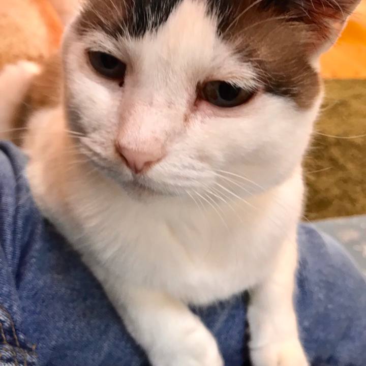 F1e9f316 ff35 42bb 8f7f cc3d24975bc5 1560038445084