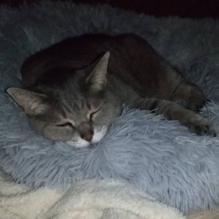 F1e9f6f1 c153 4922 a5a0 a5689894c62c 1644311466674