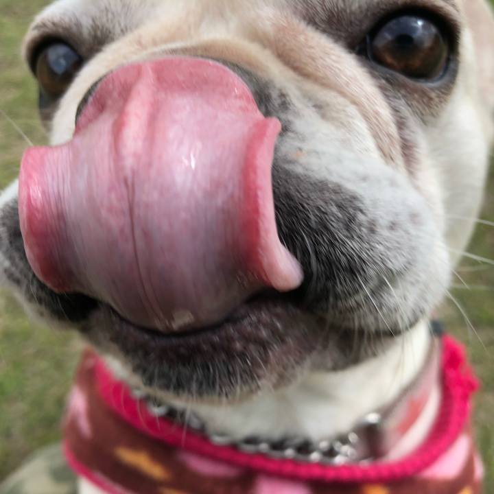 F1e9f868 7647 477d afe6 438315304e22 1524077215084