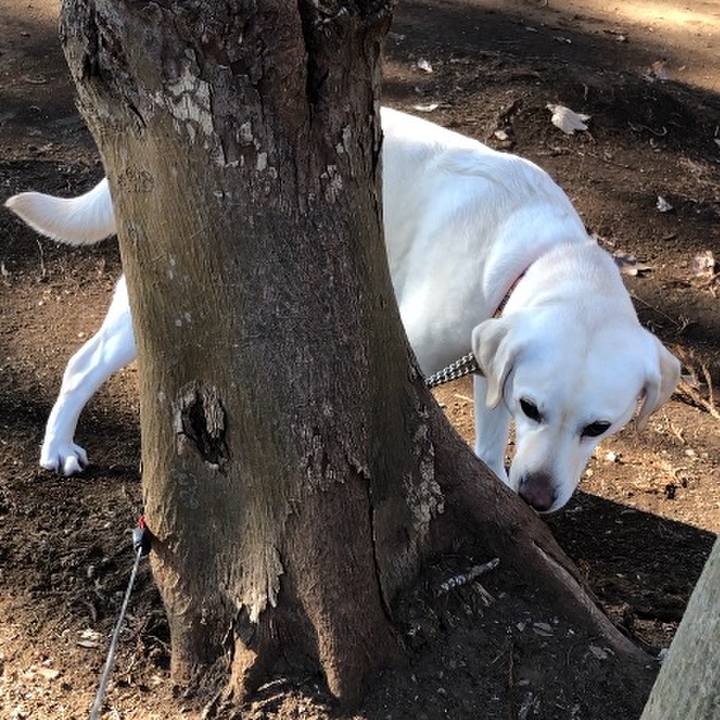 F1ea25ff d72a 4315 bef4 4d05f08e00ce 1580612390528