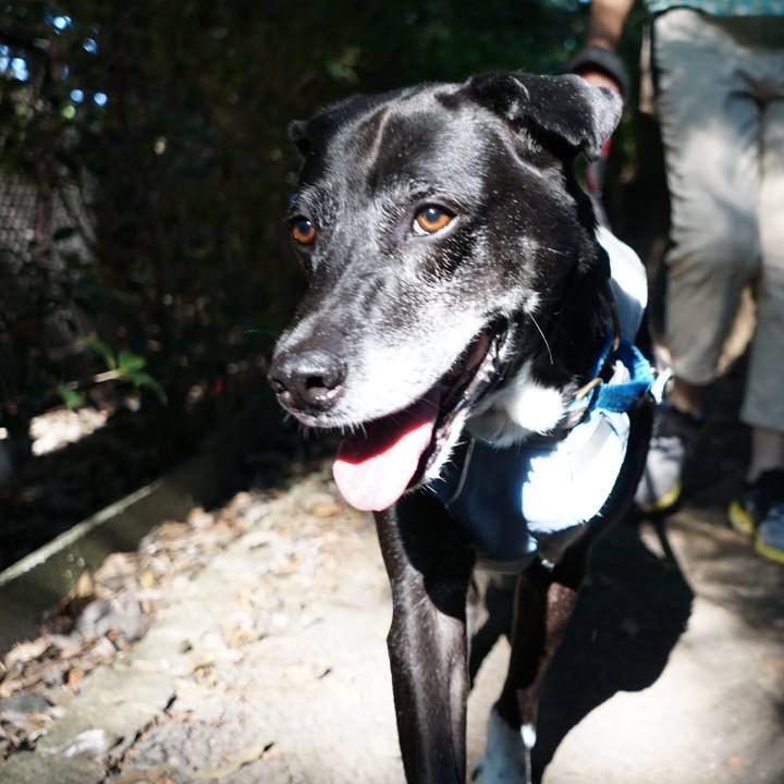 F1ea3f2b b166 44f8 84e9 16d544e34a19 1758065827215