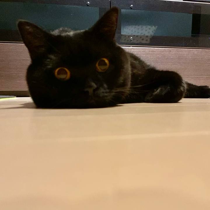 F1ea42eb 3d97 4cef b184 8030bfeb12b6 1696335103782