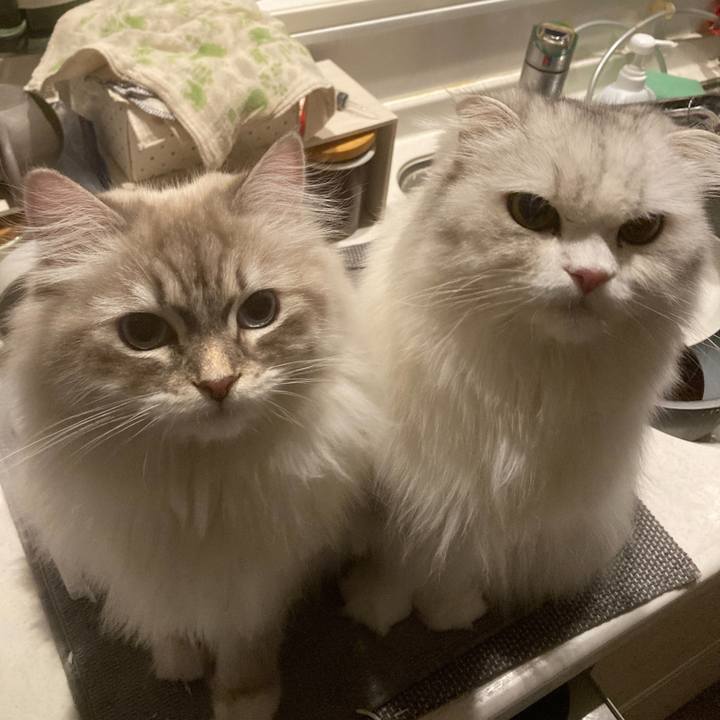 F1ea51db 2fe3 4c2b b27c 978cd8605cc8 1709174753806