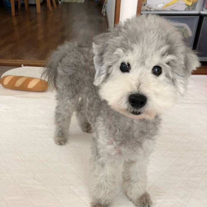 F1ea6fc4 a424 4909 b4e7 18dd2cb4b8a8 1538445045938