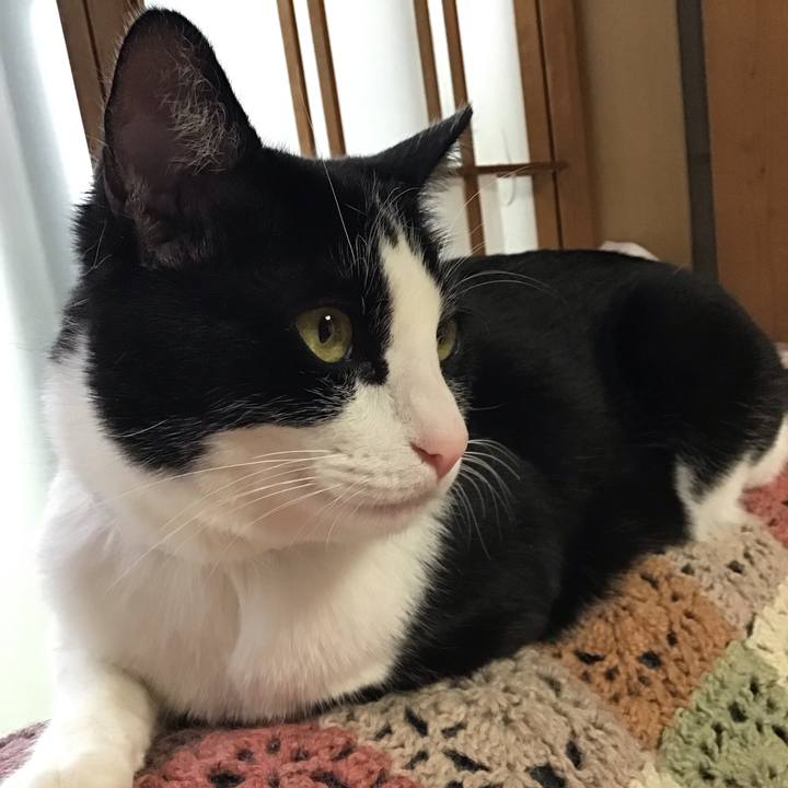 F1ea848d 1f76 4aa7 acce 60a3087bcd39 1682078191112