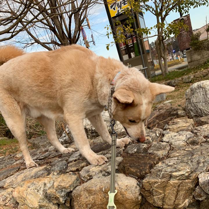 F1ea8780 2429 4c7b 80c5 1ff5ded96d2c 1550287272634