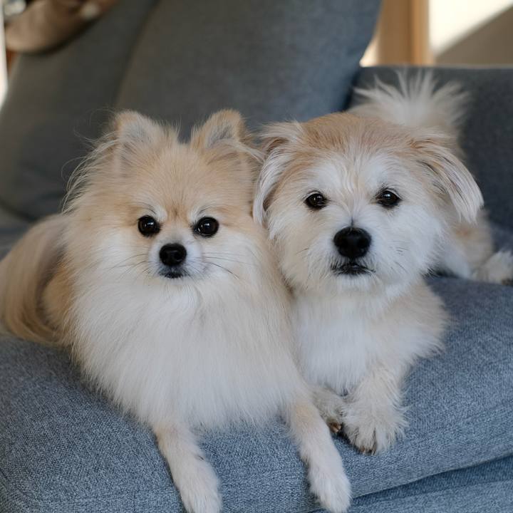 F1eab1a8 3a00 4733 aabc f8eeb821c053 1759015401913