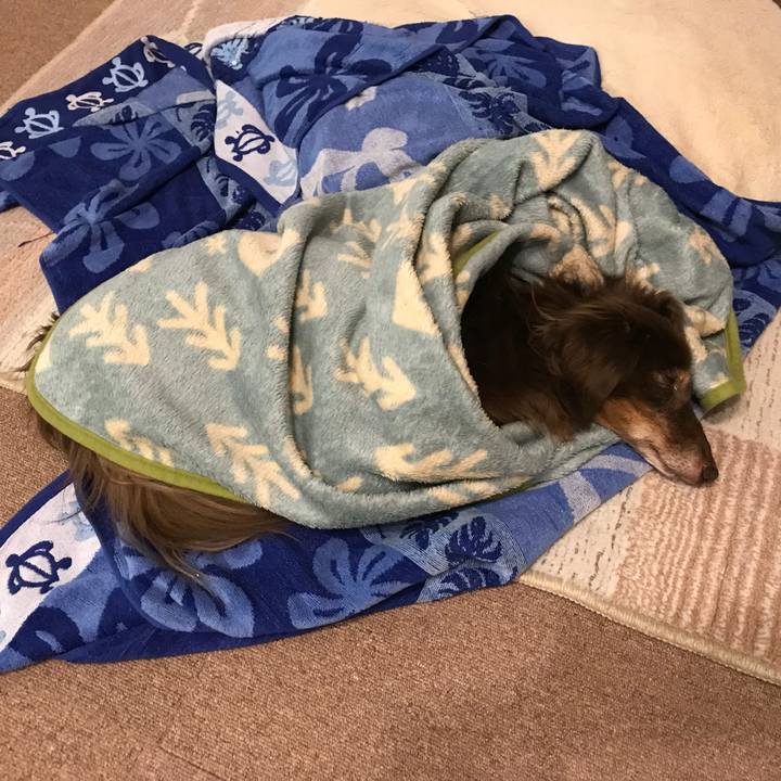 F1eac17d d78a 4edb bdc8 df01ae435c98 1510973102691