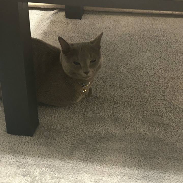 F1eaee73 3b03 4dbd bf45 404bf18ff718 1689132018448