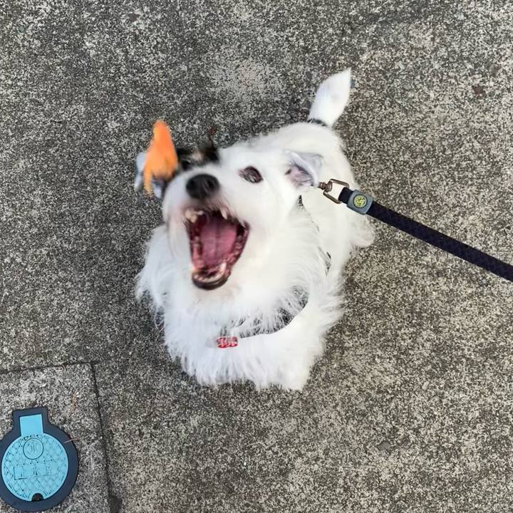 F1eafdf7 6260 4a8a a10a 8116191c25d7 1694645696846