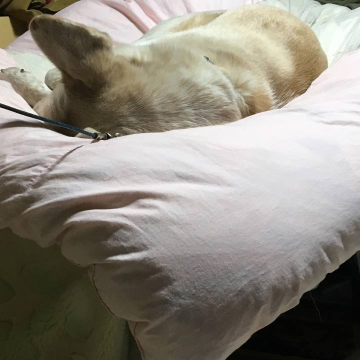 F1eb6c53 8b68 4bf6 8f71 e236a825aad9 1517060127734