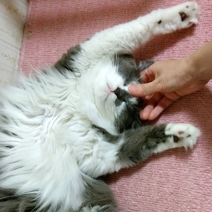 F1eba4bf 7b2d 42a3 a703 e9f26d4101b7 1594421702458