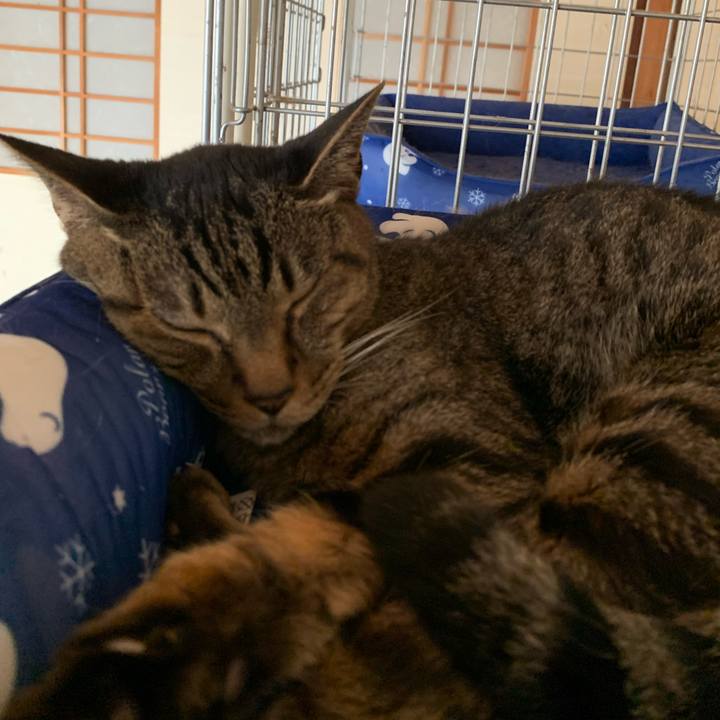 F1ebc7ef 4ed4 48c3 9913 847403b92622 1595985644795