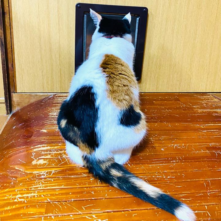 F1ebc8dc 36ca 4acd b4f5 a61a5ab5b7ab 1692878317793