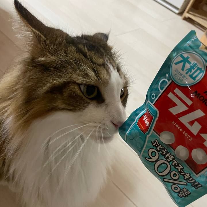 F1ec3197 e73f 49c2 94e1 e064fc040ccf 1692906618157