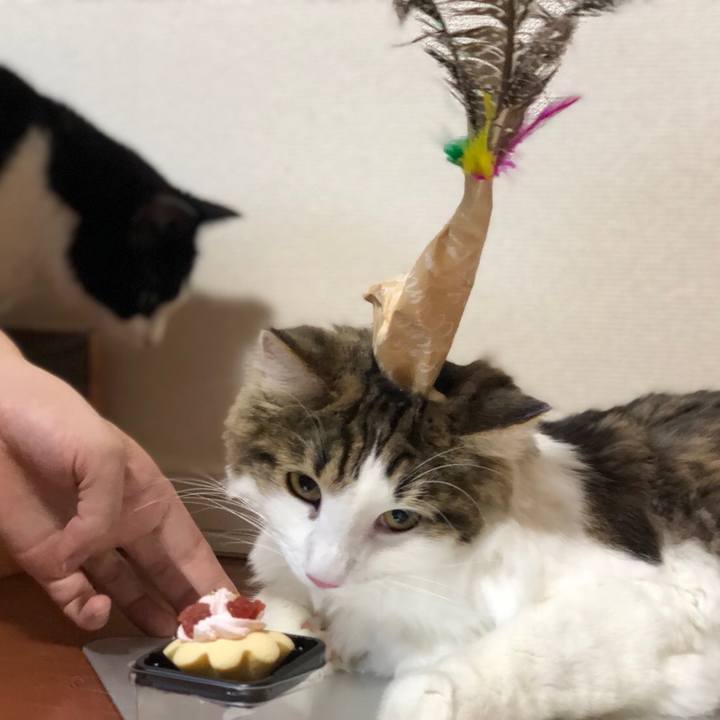 F1ec39df a6a2 46d5 b778 92f7ff502190 1532345481322