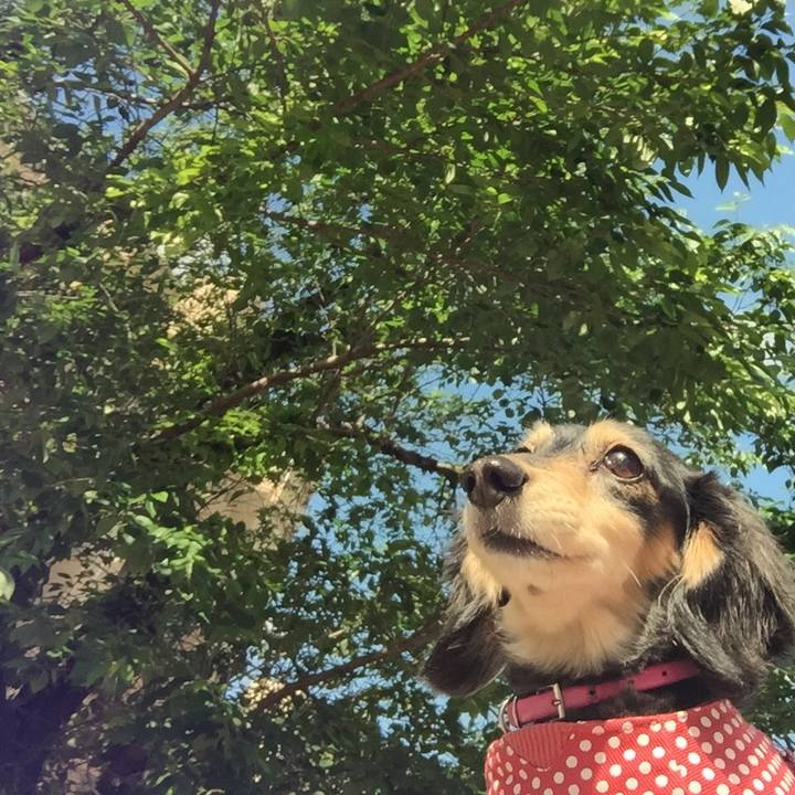 F1ec6845 7f93 4b61 95da fad14d30f2b9 1525911234845