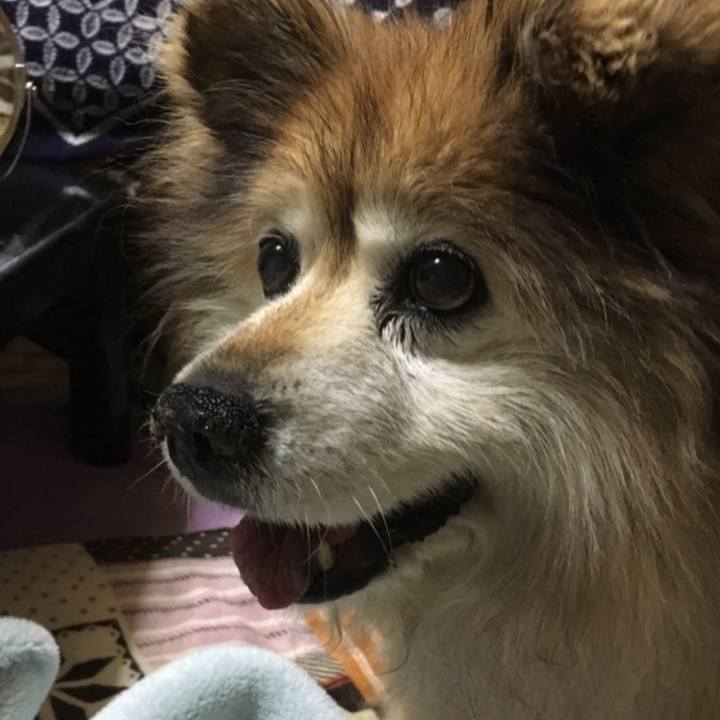 F1eca279 9633 4bc3 b5fd 32632f4af5e7 1575442833283