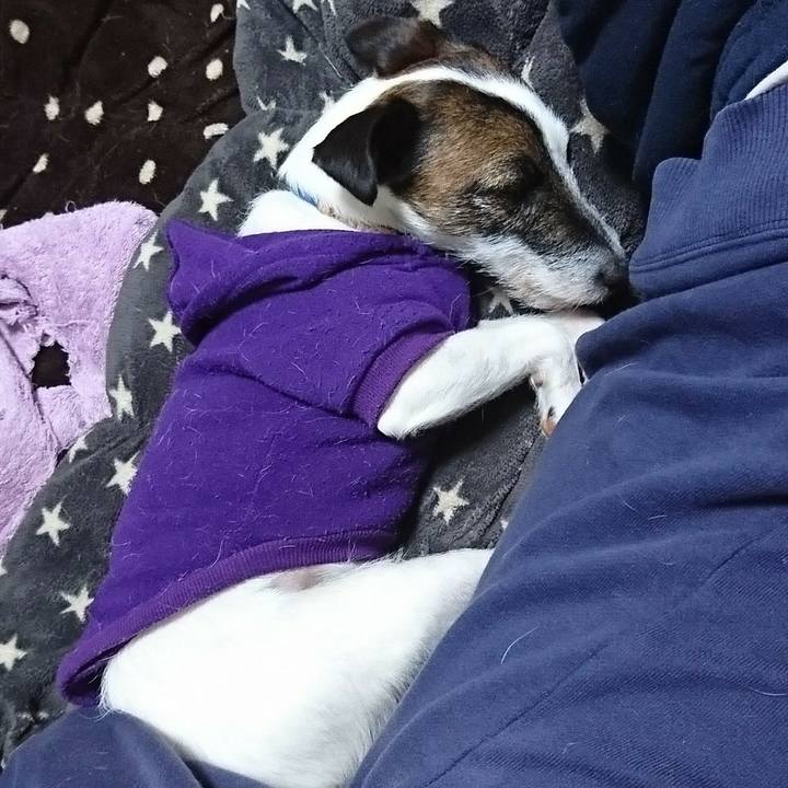 F1ecaa65 0ac2 4680 b5f4 f0507959596c 1550616912351