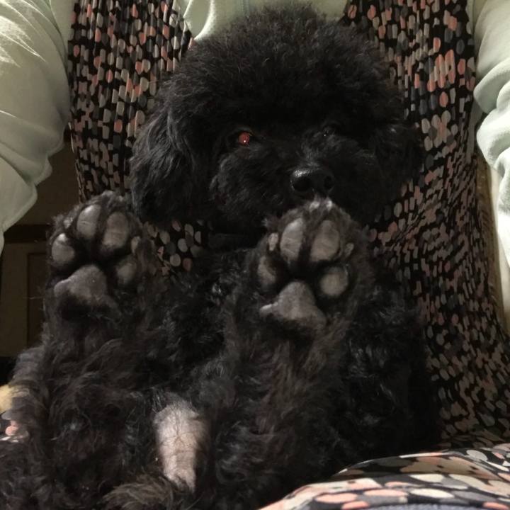 F1ecb6dc ab24 49d0 904e d44fe035c05a 1538205930288