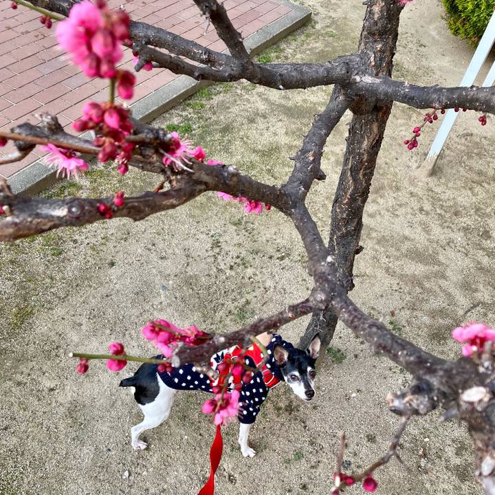 F1ecbf79 002b 42c0 b66c afecd1bf022e 1612694429848