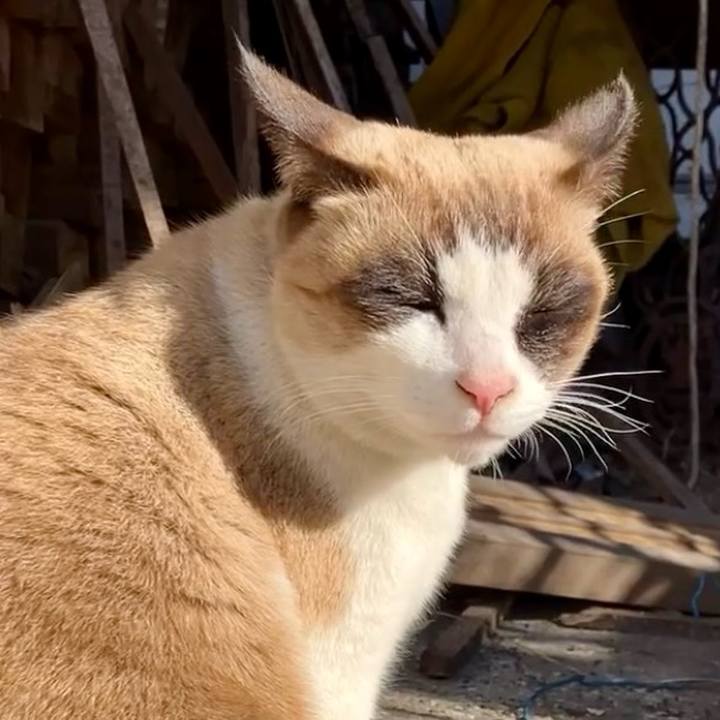 F1ecc86d e296 4450 b0d7 27d01e0453cf 1739792724796