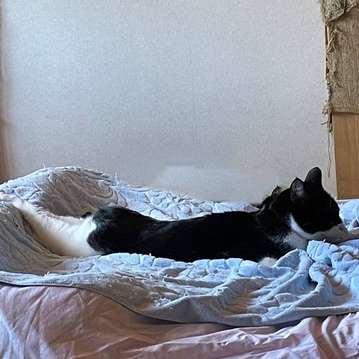 F1ed0347 f4e9 4475 80d6 15d1edcfd8b3 1671678773943