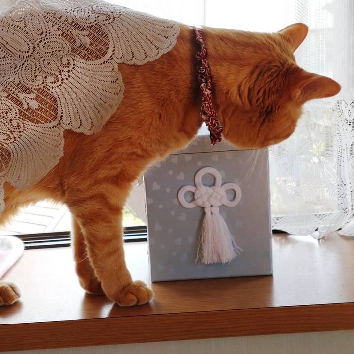 F1ed1b64 e86b 4eb6 b565 cb9fd7f6c918 1714177637497