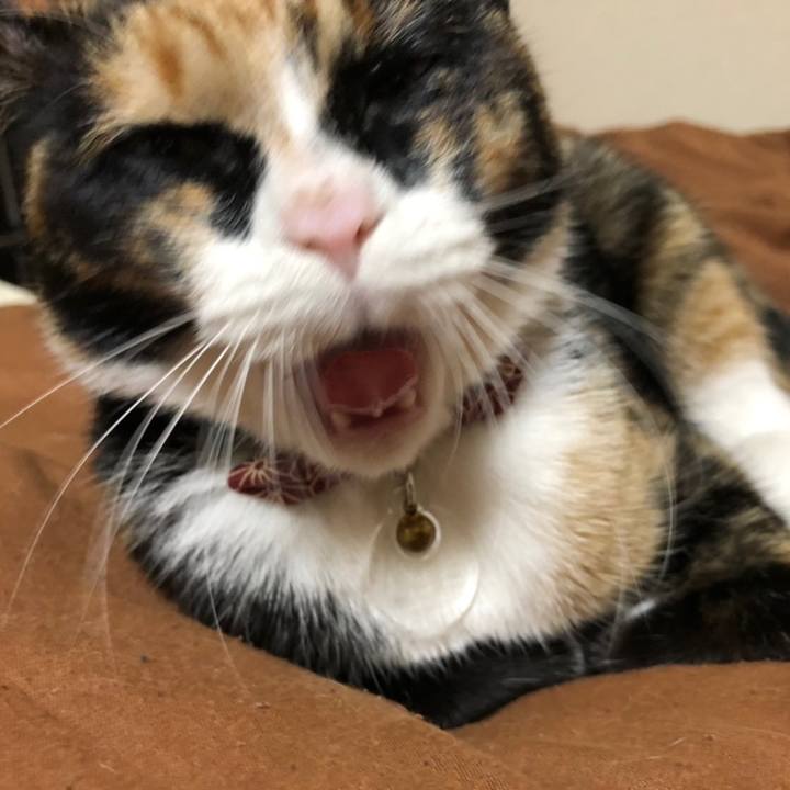 F1ed2666 323c 4c45 aaf3 e82b87332972 1558356385791