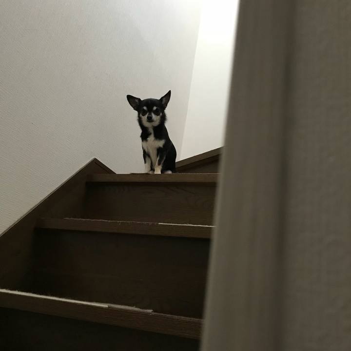 F1ed342b 91fd 4dd5 aee7 671c09b7e21d 1524874612214