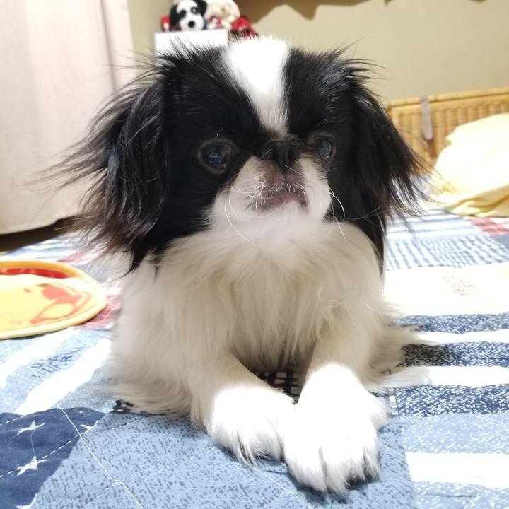 F1edbe56 543b 47fa 9533 e133c6f4db4c 1647436401635